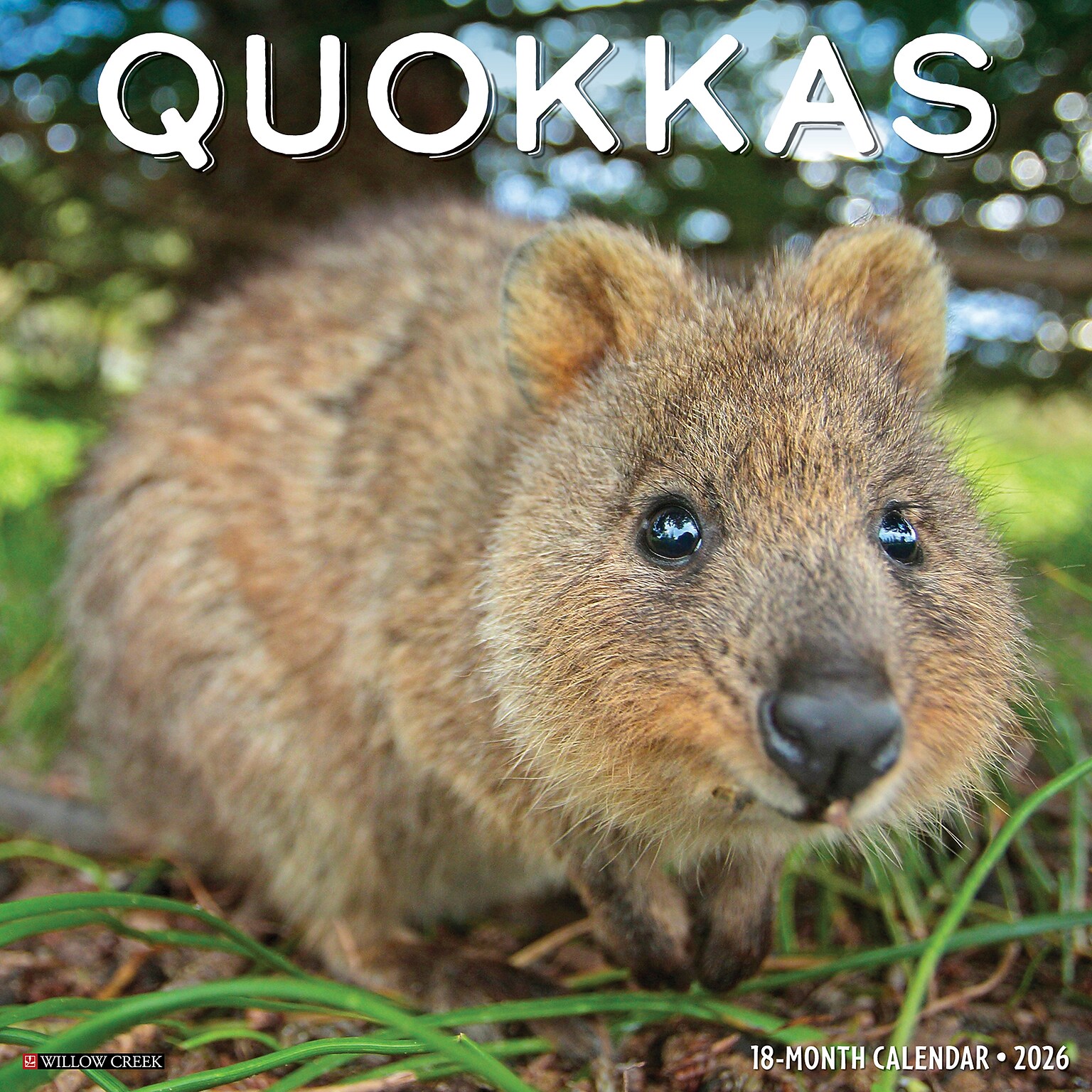 2026 Willow Creek Quokkas 12 x 12 Monthly Wall Calendar (52532)