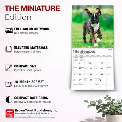2027 BrownTrout Boxer Puppies 7" x 7" Monthly Wall Calendar, Assorted Colors (9798330709946)