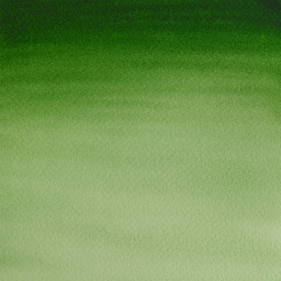 Winsor & Newton Watercolor Paint Tube, Hookers Green Light (WNX0308314)
