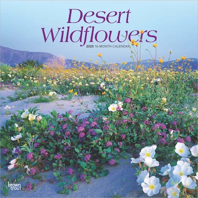 2025 BrownTrout Desert Wildflowers 12 x 12 Monthly  Wall Calendar (9781975476014)