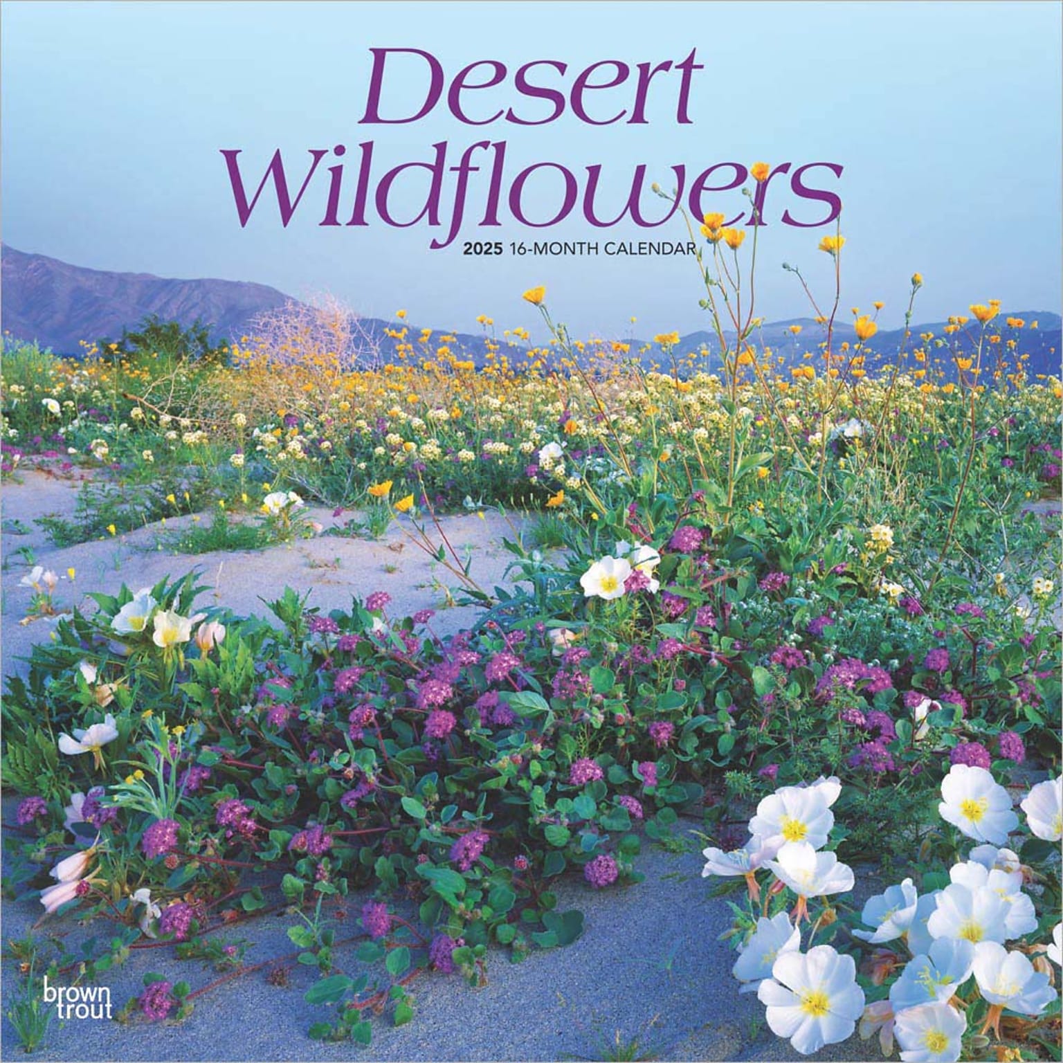 2025 BrownTrout Desert Wildflowers 12 x 12 Monthly  Wall Calendar (9781975476014)