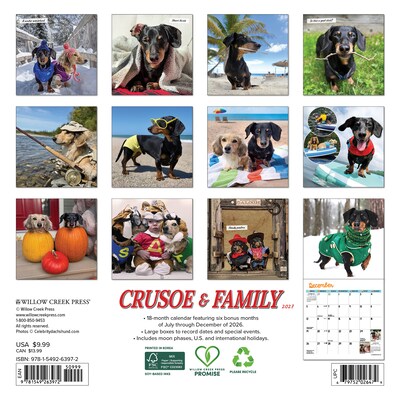 2027 Willow Creek Crusoe the Celebrity Dachshund 7 x 7 Monthly Wall Calendar (63972)