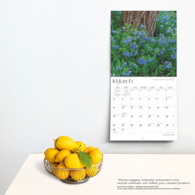 2025 BrownTrout Indiana Wild & Scenic 12" x 12" Monthly Wall Calendar (9781975474959)