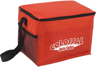 Budget Cooler Bag