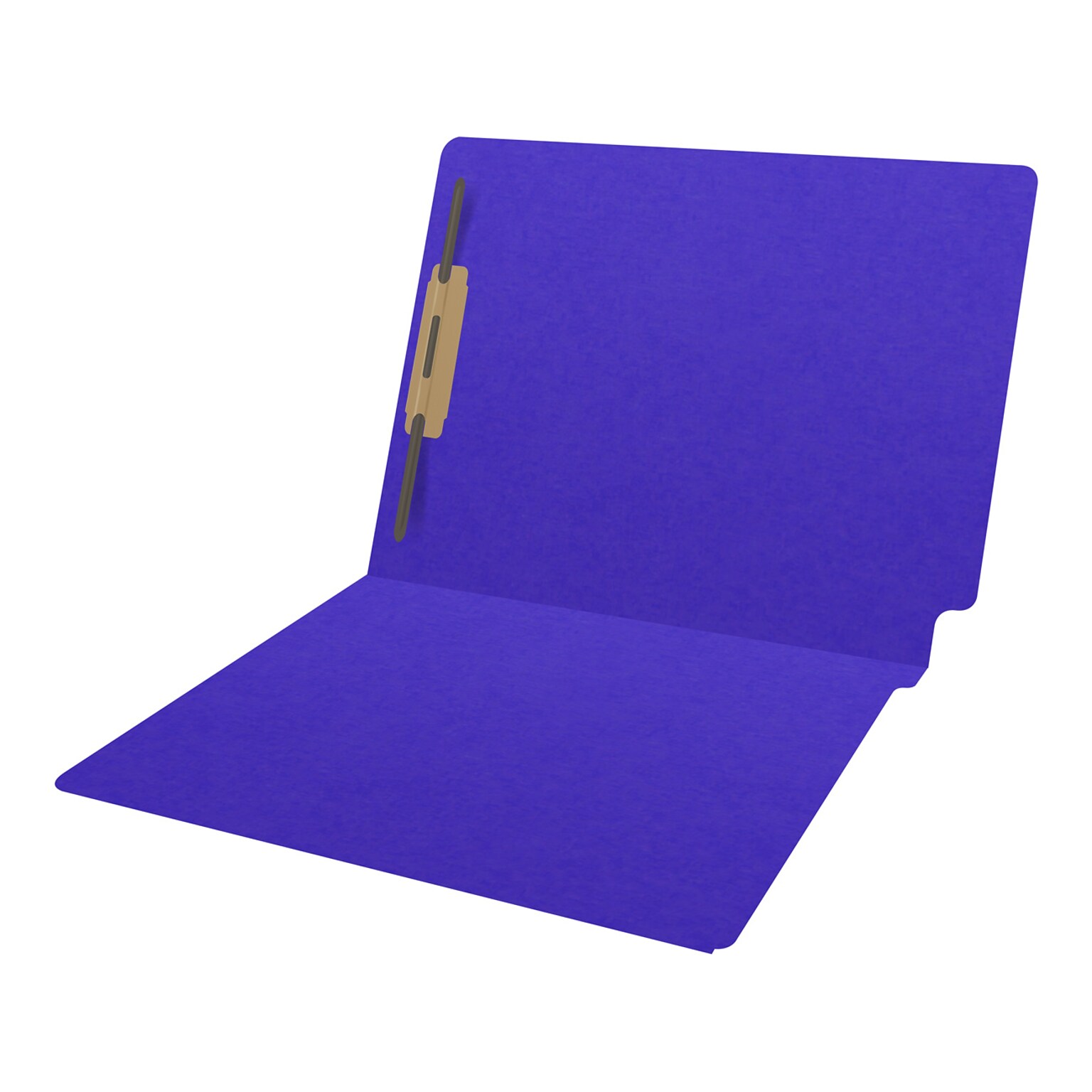 Medical Arts Press Heavy Duty End Tab File Folder, Straight-Cut, Letter Size, Purple, 40/Box (S-09461-PUR)