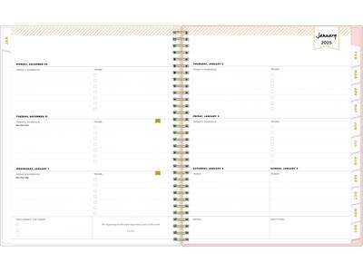 2025 Blue Sky Day Designer Roses Blush 8.5" x 11" Weekly & Monthly Planner, Plastic Cover, Multicolor (140092-25)