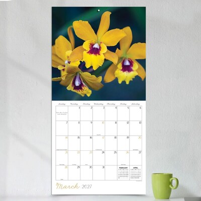 2027 TF Publishing Flowers 10" x 12" Monthly Wall Calendar, Multicolored (27-1034)