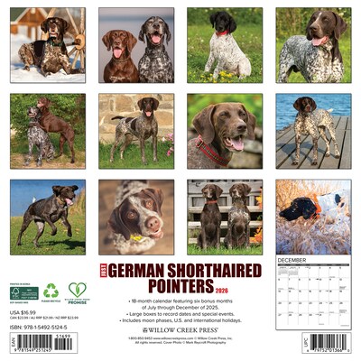 2026 Willow Creek German Shorthaired Pointers 12 x 12 Monthly Wall Calendar (51245)
