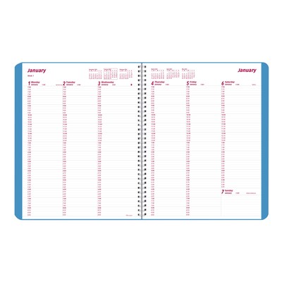 2024 Brownline Mountain 8.5" x 11" Weekly Planner, Multicolor (CB950G.04)