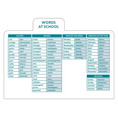Carson Dellosa Education Spanish Flash Cards, 216/Pack (CD-734109)