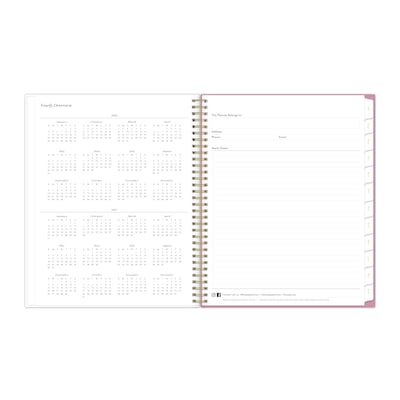 2026-2027 Blue Sky 8" x 11" Academic Year Weekly & Monthly Planner, Plastic Cover, Gingham (161388)