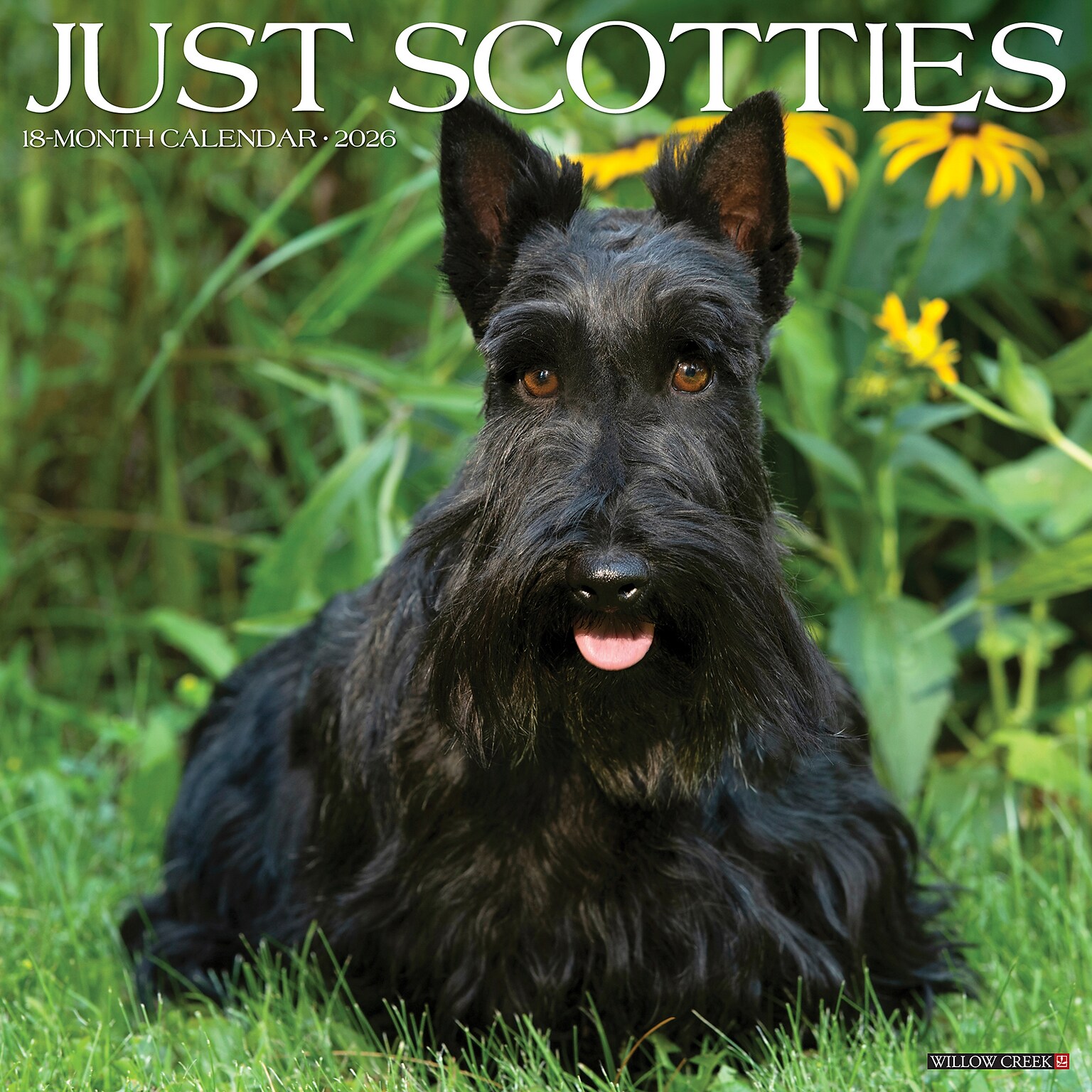2026 Willow Creek Scotties 12 x 12 Monthly Wall Calendar (52693)