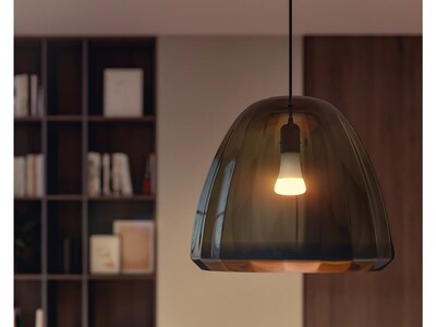 Philips Hue 100W Equivalent A21 LED Smart Bulb, Soft Warm White  (580845)