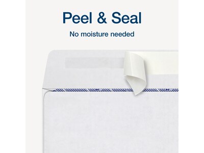 Adams 2024 Self-Seal Security-Tinted Double-Window 1099 Tax Envelope, 8.75" x 3.75", White, 25/Pack (STAX3-24)