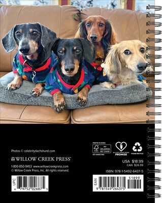 2027 Willow Creek Crusoe the Celebrity Dachshund 6.5 x 8.5 Weekly & Monthly Desk Calendar (64375)