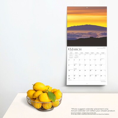 2025 BrownTrout Sunrise Sunset 12" x 12" Monthly  Wall Calendar (9781975475758)