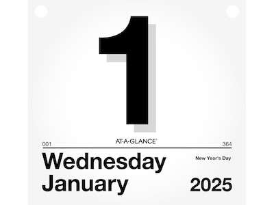 2025 AT-A-GLANCE Today Is 8.5 x 8 Daily Calendar Refill, White/Black (K4-50-25)