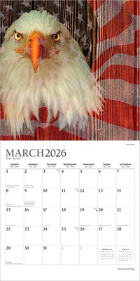 2026 Plato America's Flag 12" x 12" Monthly Wall Calendar (9798330706624)