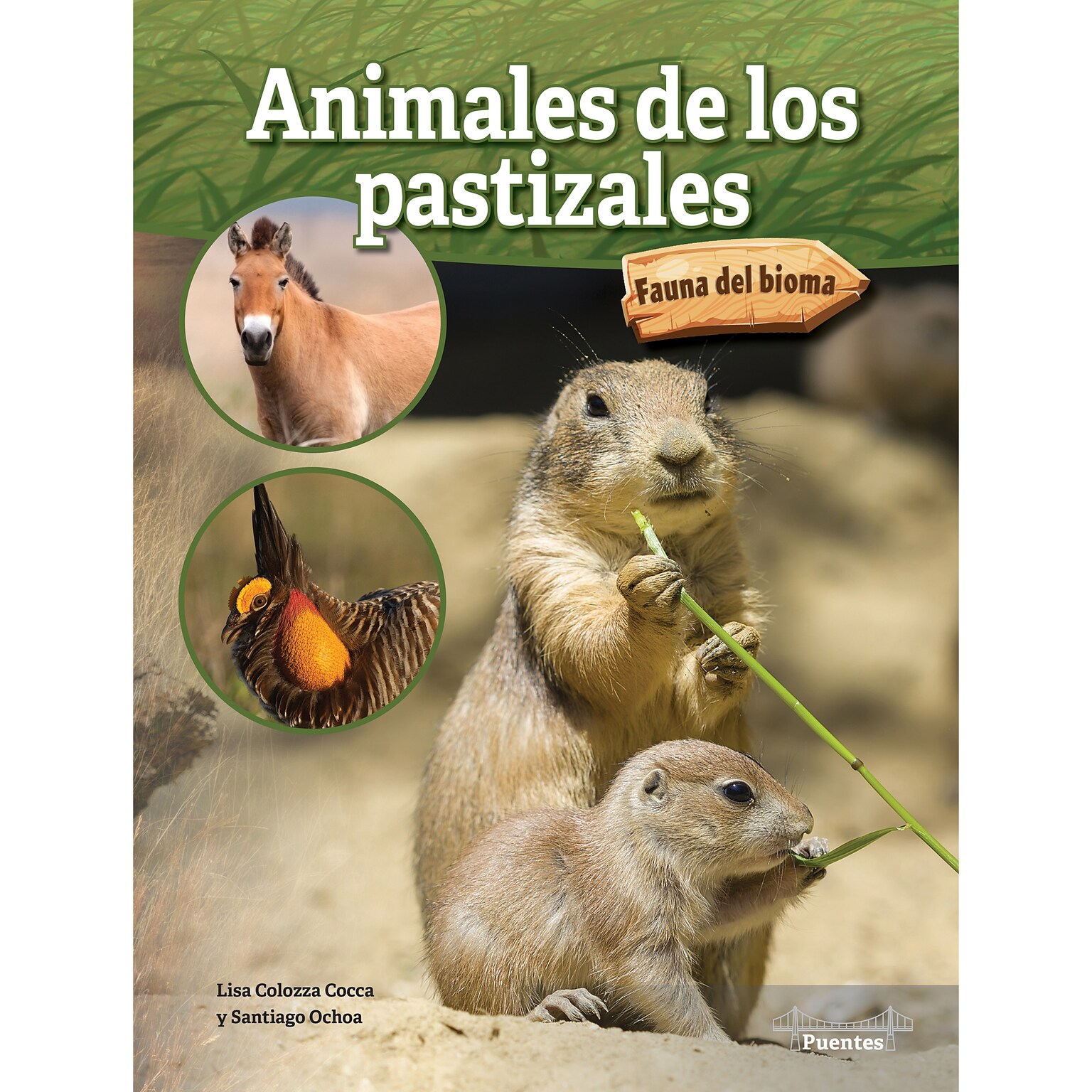 Carson-Dellosa Bridges Animales de los pastizales, Hardcover (CD-9781731654656)