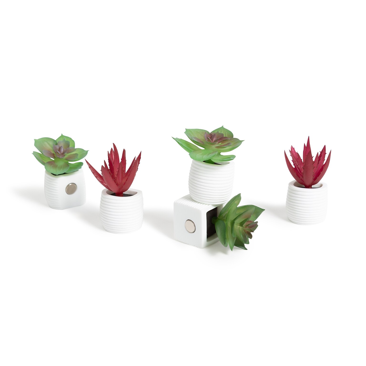 U Brands Mini Fashion Small Magnet Set, Green Succulents, 12/Pack (4943U06-24)