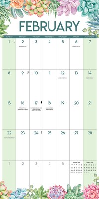 2026 Willow Creek Succulents 12" x 12" Monthly Wall Calendar (55564)
