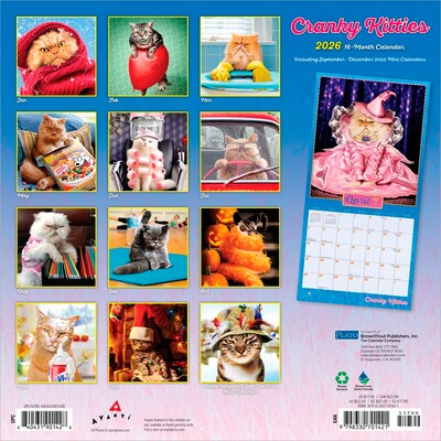 2026 Plato Avanti Cranky Kitties 12 x 12 Monthly Wall Calendar (9798330701421)