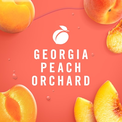 Febreze Air Mist Air Freshener Spray, Georgia Peach Orchard Scent, 8.8 oz., 2/Pack (11573)