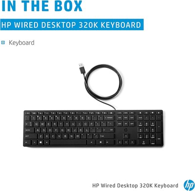 HP Desktop 320K Wired Keyboard (9SR37AA#ABA)