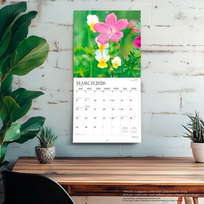 2026 Plato Wildflowers 12" x 12" Monthly Wall Calendar (9798330706662)