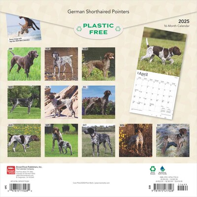 2025 BrownTrout German Shorthaired Pointers 12 x 12 Monthly Square Wall Calendar (9781975477028)