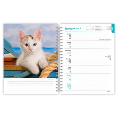 2027 BrownTrout Kittens 6.5" x 7.8" Calendar Year Weekly Standard Planner, Multicolor (9798330709434)