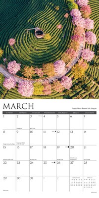 2026 Willow Creek China 12" x 12" Monthly Wall Calendar (55724)
