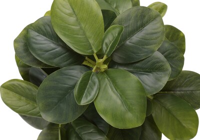 Monarch Specialties Inc. 14" Artificial Ficus Elastica Plant in Pot, 2/Set (I 9558)