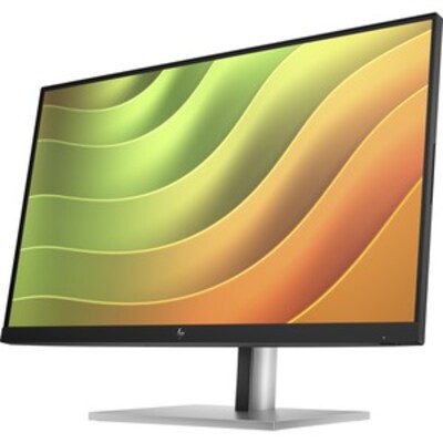 HP E24u G5 23.8" 75 Hz LCD Monitor  (6N4D0AA#ABA)