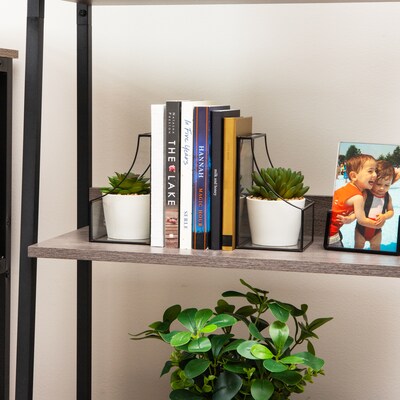 Mind Reader Metal Terrarium Bookends, 6.25", Black (GLBOOK2-BLK)