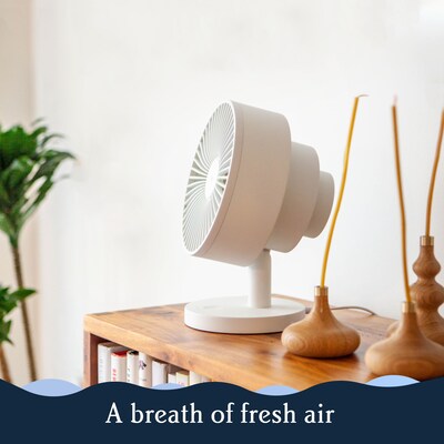 Windmill Oscillating Desk Fan, 5-Speed, Black (FC07W5)