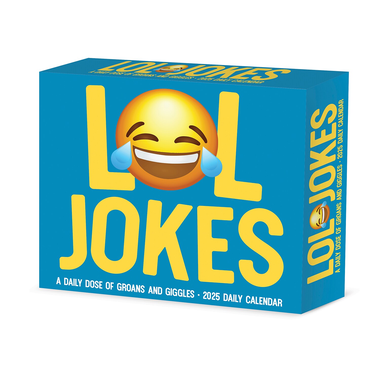 2025 Willow Creek LOL Jokes 6 x 5.5 Day-to-Day Calendar (40935)