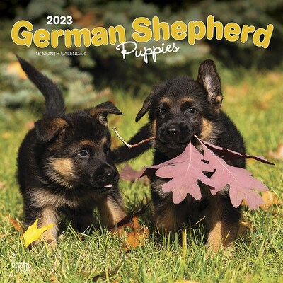 2023 BrownTrout German Shepherd Puppies 12 x 12 Monthly Wall Calendar (9781975449209)
