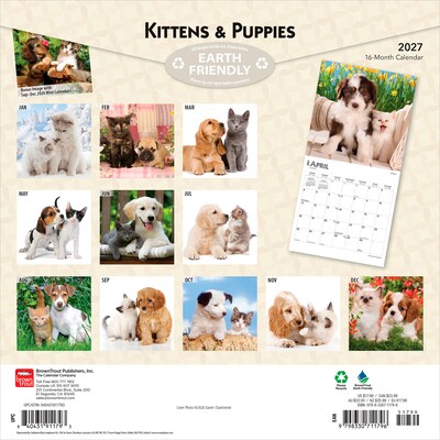 2027 BrownTrout Kittens & Puppies 12 x 12 Monthly Wall Calendar (9798330711796)