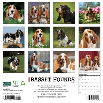2027 Willow Creek Basset Hounds 12 x 12 Monthly Wall Calendar, Assorted Colors (59043)