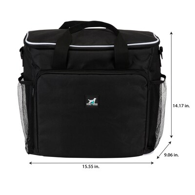 Pounce + Fetch Pet Weekender Pet Travel Bag, Large (18022)