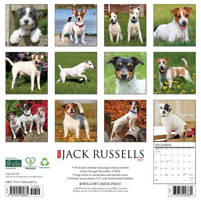 2027 Willow Creek Jack Russells 12 x 12 Monthly Wall Calendar (60834)