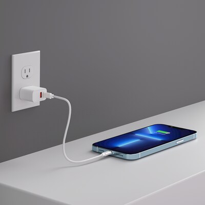 LAX USB-PD USBC 20W Wall Charger, White (USBPD20WWHT)