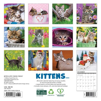 2026 Willow Creek Kittens 7 x 7 Monthly Wall Calendar (53638)