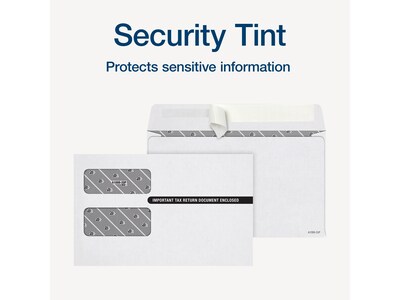 Adams 2024 Self-Seal Security-Tinted Double-Window 1099 Tax Envelope, 9" x 5-5/8", White, 25/Pack (STAX1-24)