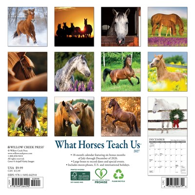 2027 Willow Creek What Horses Teach Us 7 x 7 Monthly Wall Calendar, Assorted Colors (64290)