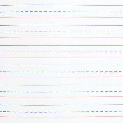 Mead Grades K-2 Primary Composition Notebook, 100 Sheets, Blue (09902)