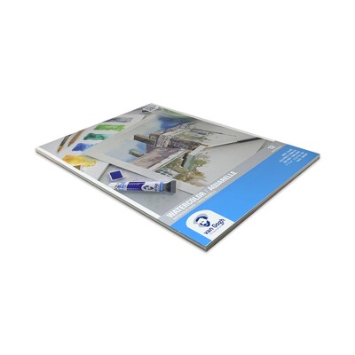 Van Gogh 11" x 15" Watercolor Sketch Pad, 12 Sheets/Pad, 2/Bundle (VNG94178006-2)