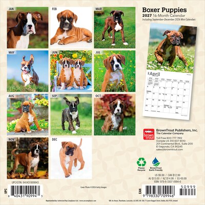 2027 BrownTrout Boxer Puppies 7 x 7 Monthly Wall Calendar, Assorted Colors (9798330709946)