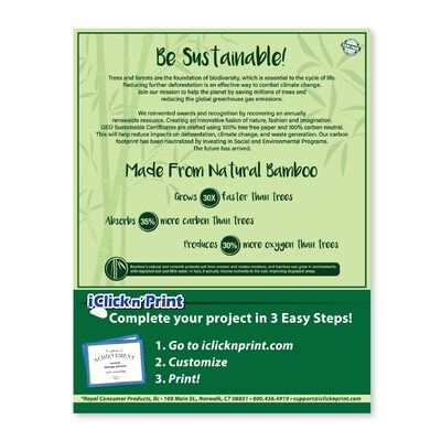 Geographics Rome Achievement Certificates, 8.5" x 11", White/Silver, 15/Pack (48779)